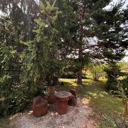 Villa Borovitsa Exterior photo